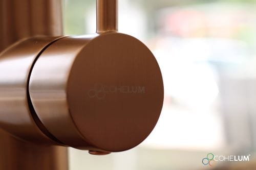 Grifo Aurora Cohelum Bronce